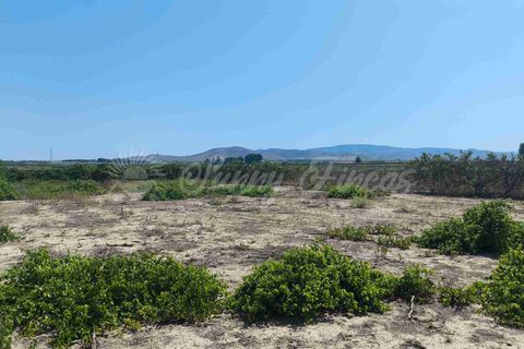 Landejendom i Caudete, Albacete, Caudete - € 87.000 | Ref: SF0540 - foto 19